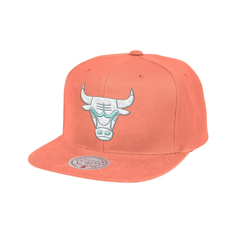 0195563261606 - Snapback Cap Ocean Dreams Chicago Bulls