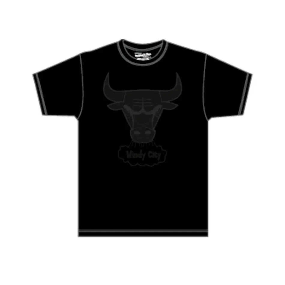 0196945044213 - T-Shirt Tonal Print Chicago Bulls