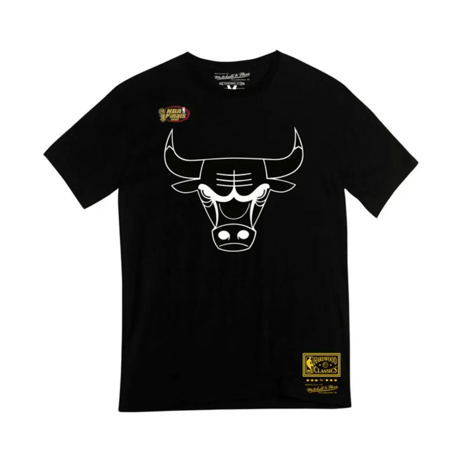 0191686945973 - T-Shirt Chicago Bulls