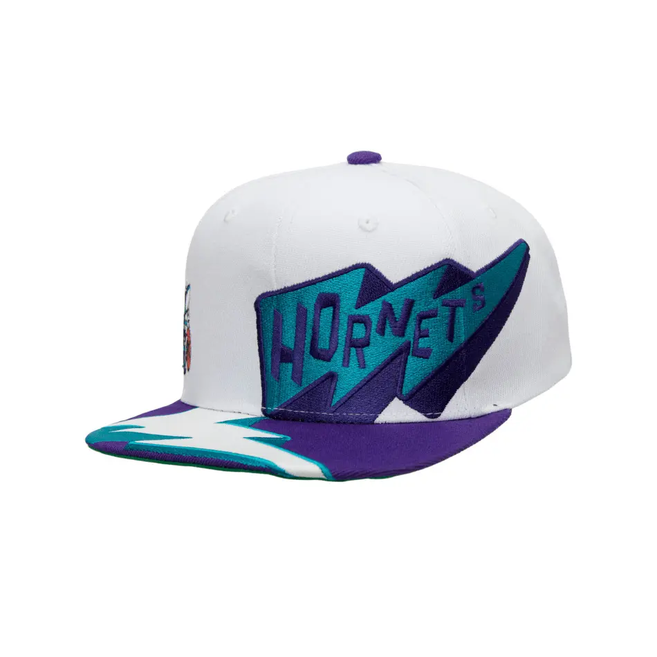 0195563762059 - Snapback Cap Fast Times Charlotte Hornets