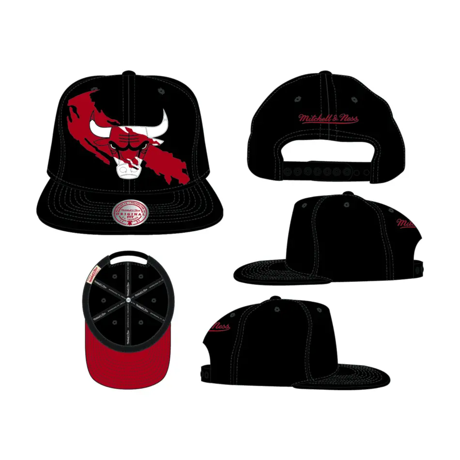 0196945108045 - Snapback Cap Paint By Number Chicago Bulls