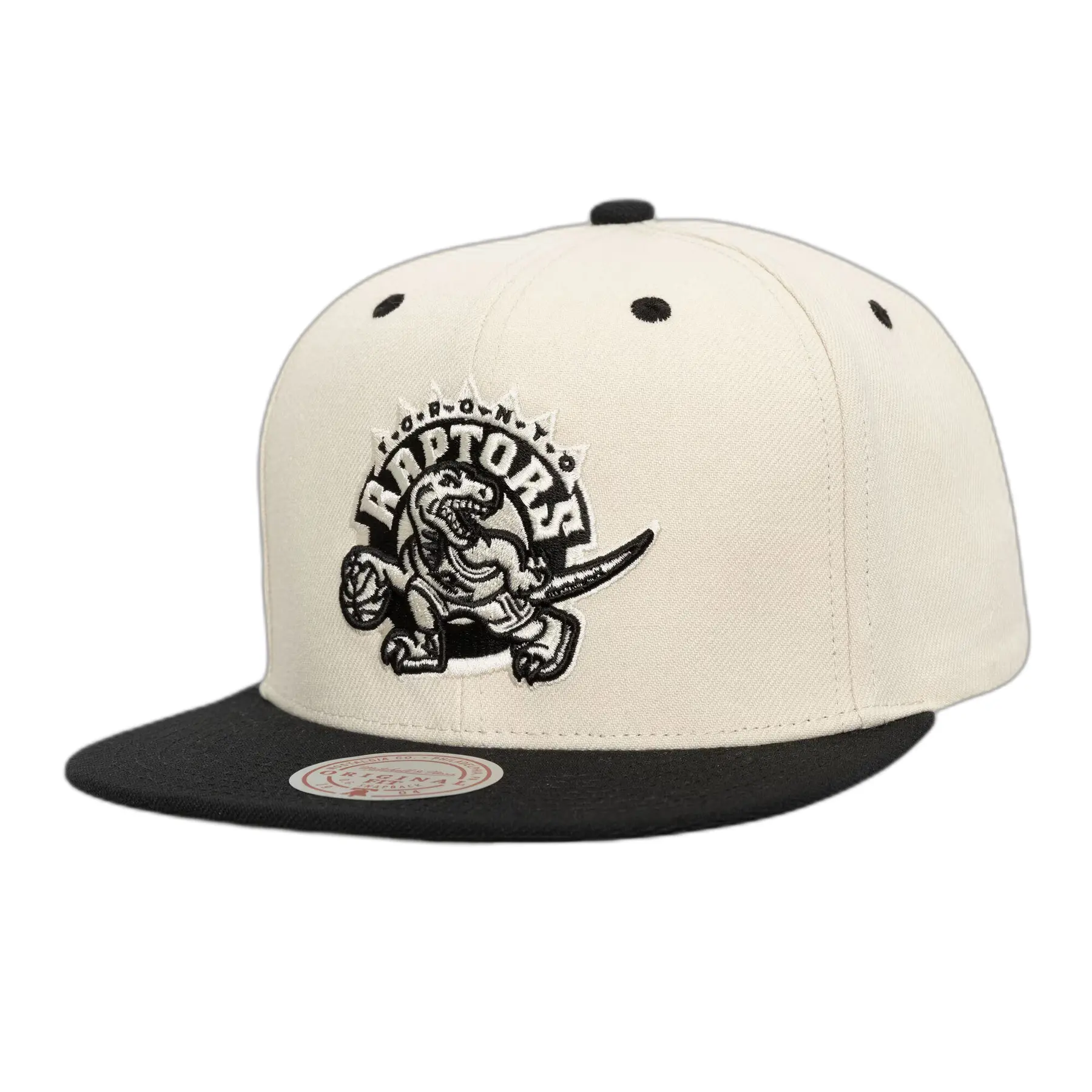0197932497708 - Snapback Cap Evergreen Toronto Raptors