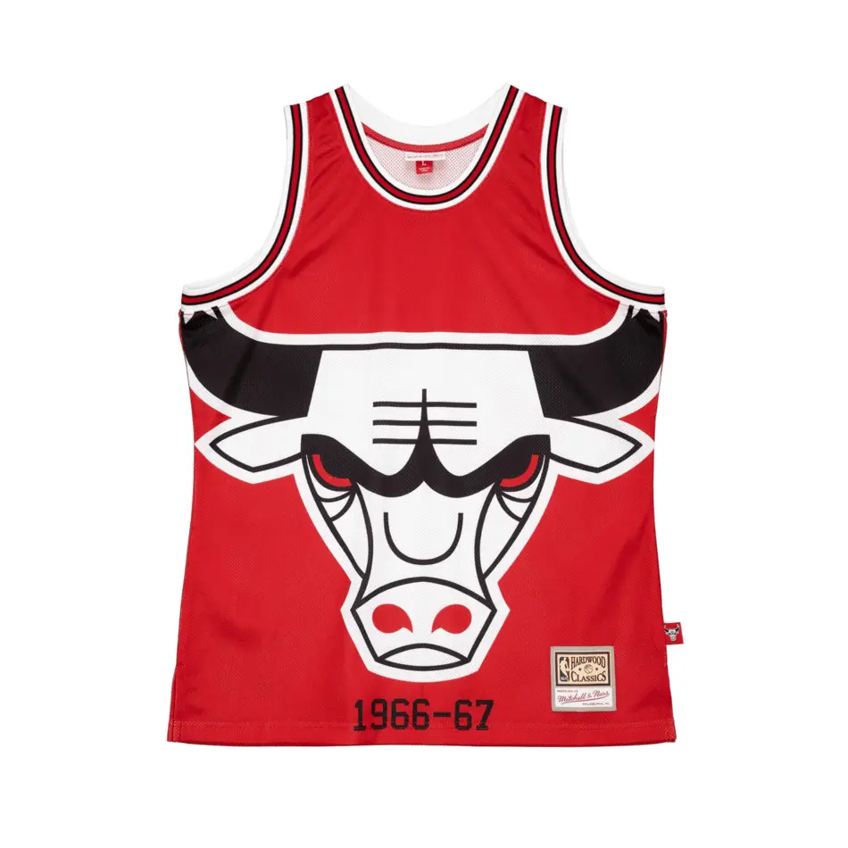 0194582435579 - Chicago Bulls Trikot Blown Out Fashion