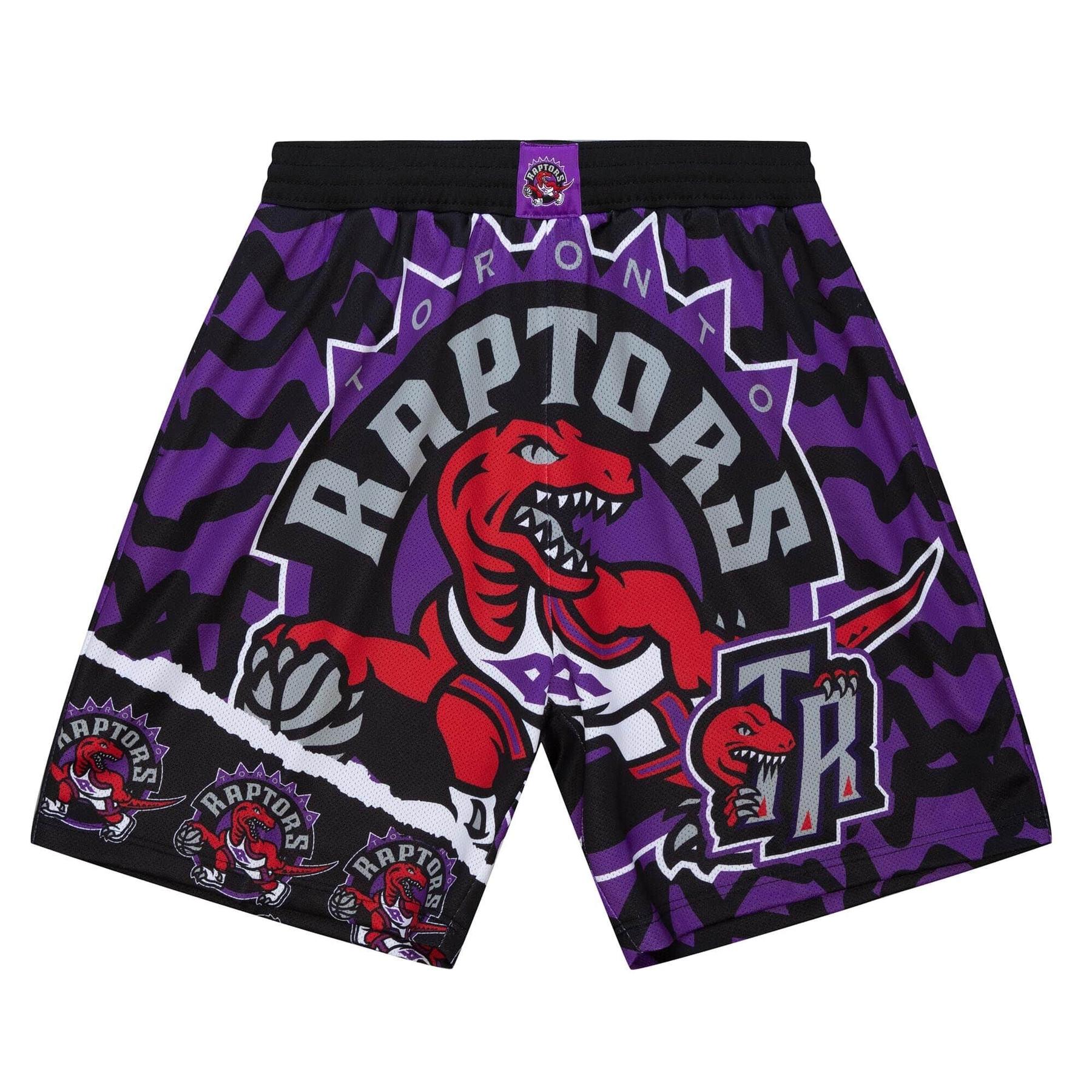0195563893715 - Basketballshorts – Toronto Raptors NBA