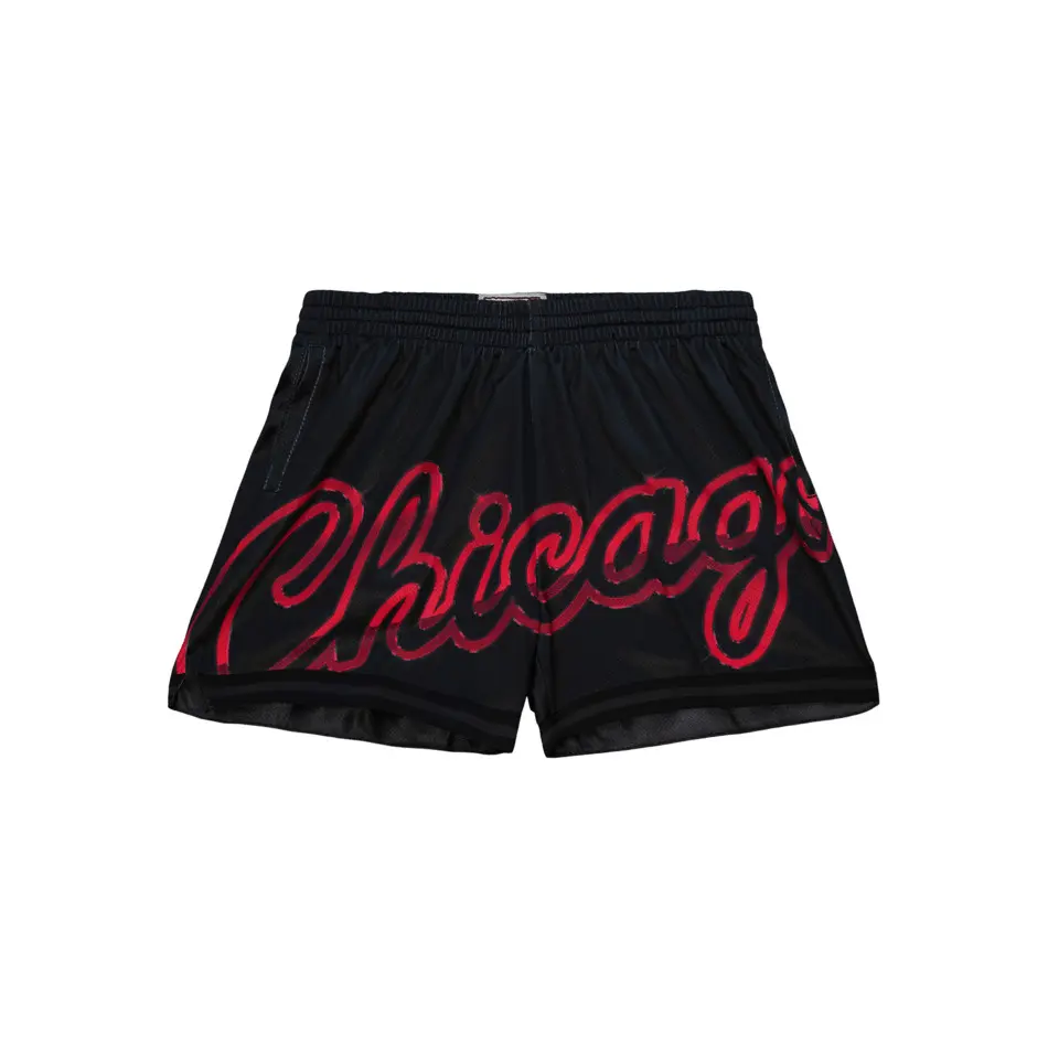 0195563531488 - Damen Shorts Chicago Bulls NBA Big Face 40