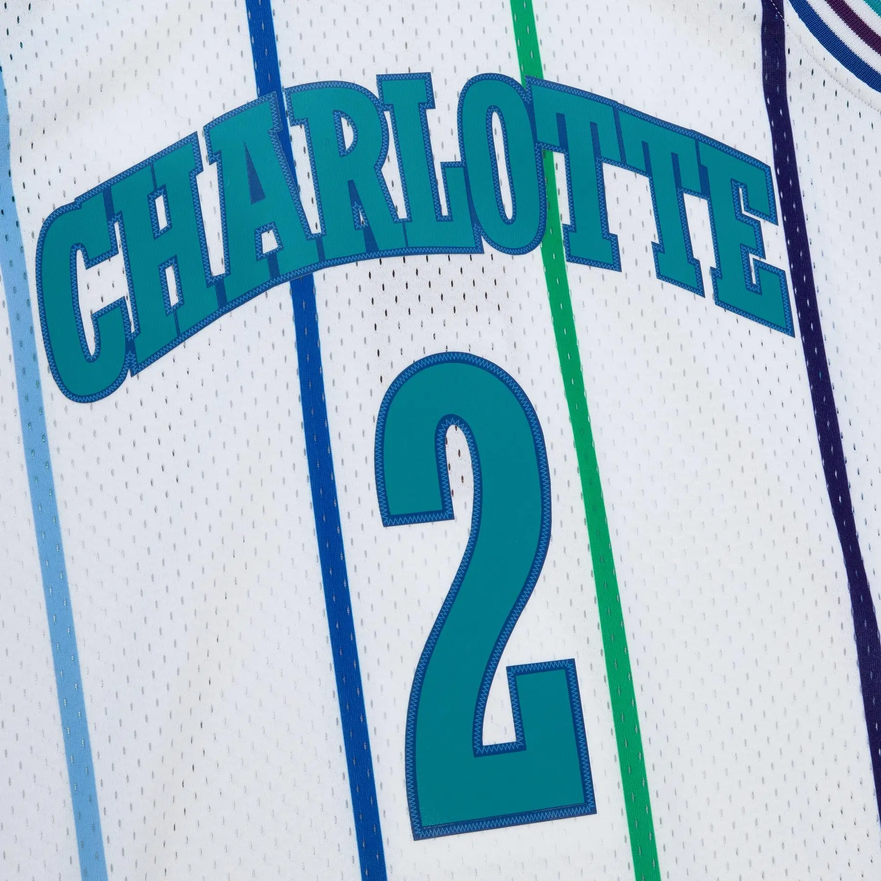 Nba jersey Charlotte Hornets Larry Johnson | Sneak'In