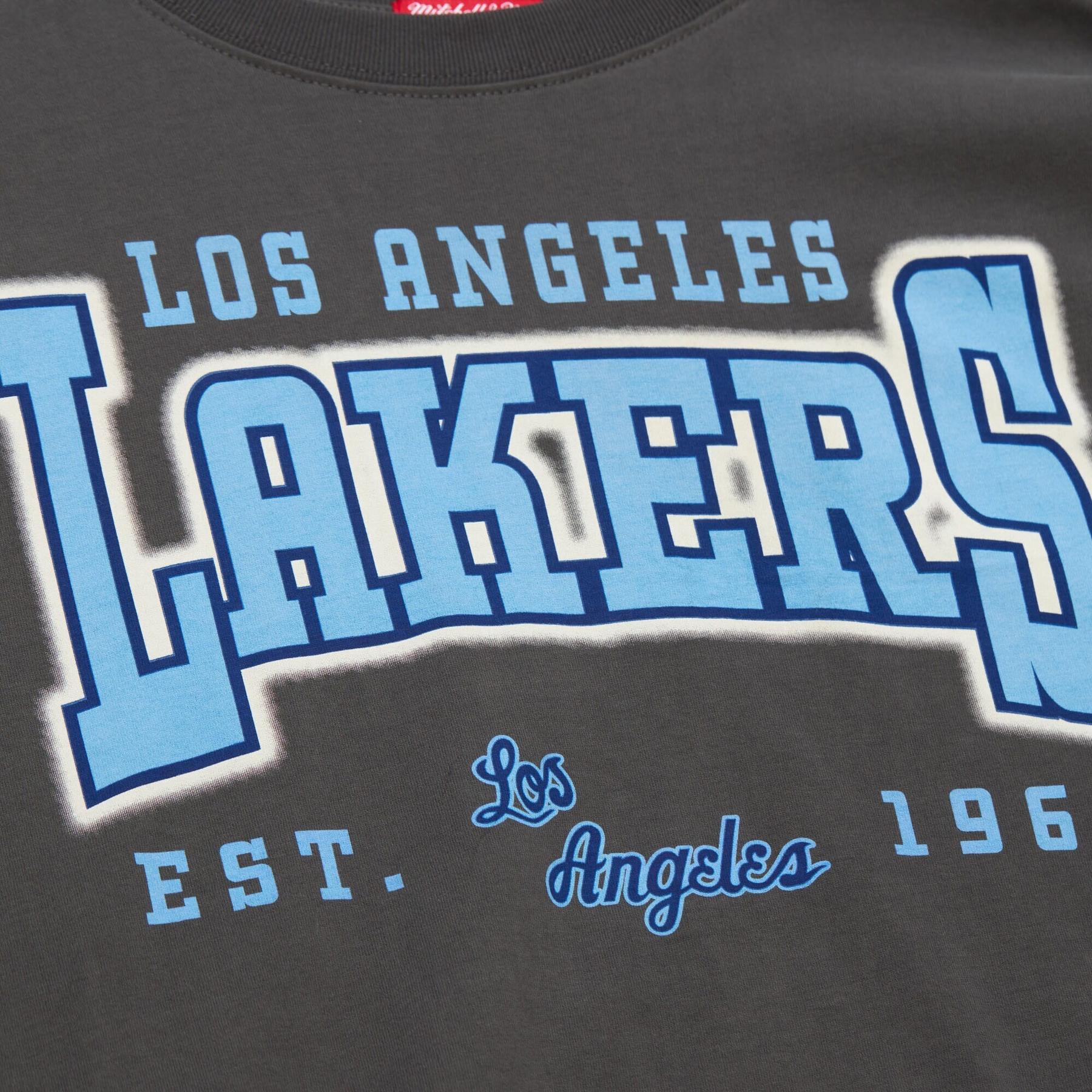 product/m/i/mitchell-ness_sste7900-lalyypppgrey_grey_3.jpg