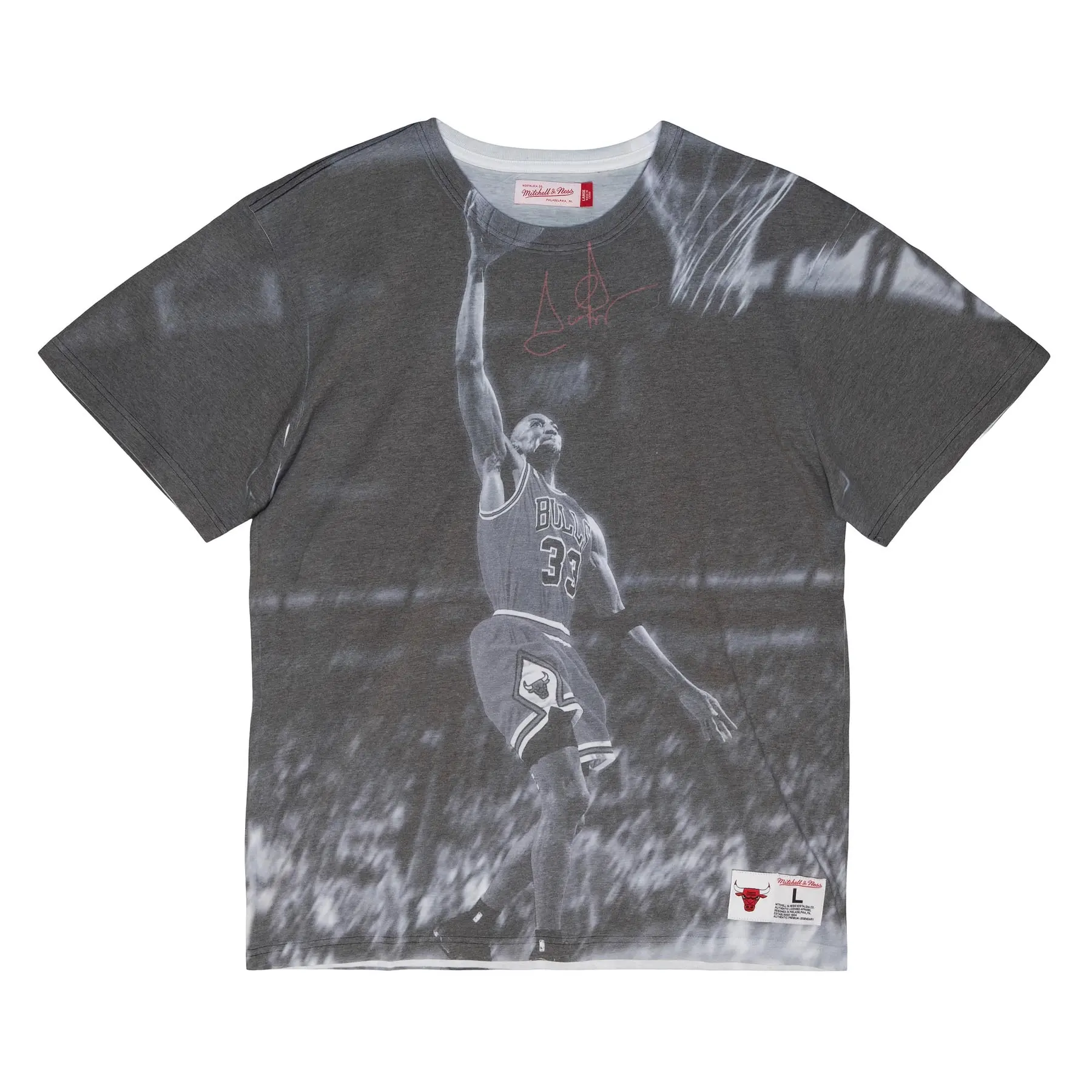 0196294350904 - T-Shirt Chicago Bulls Above The Rim Sublimated