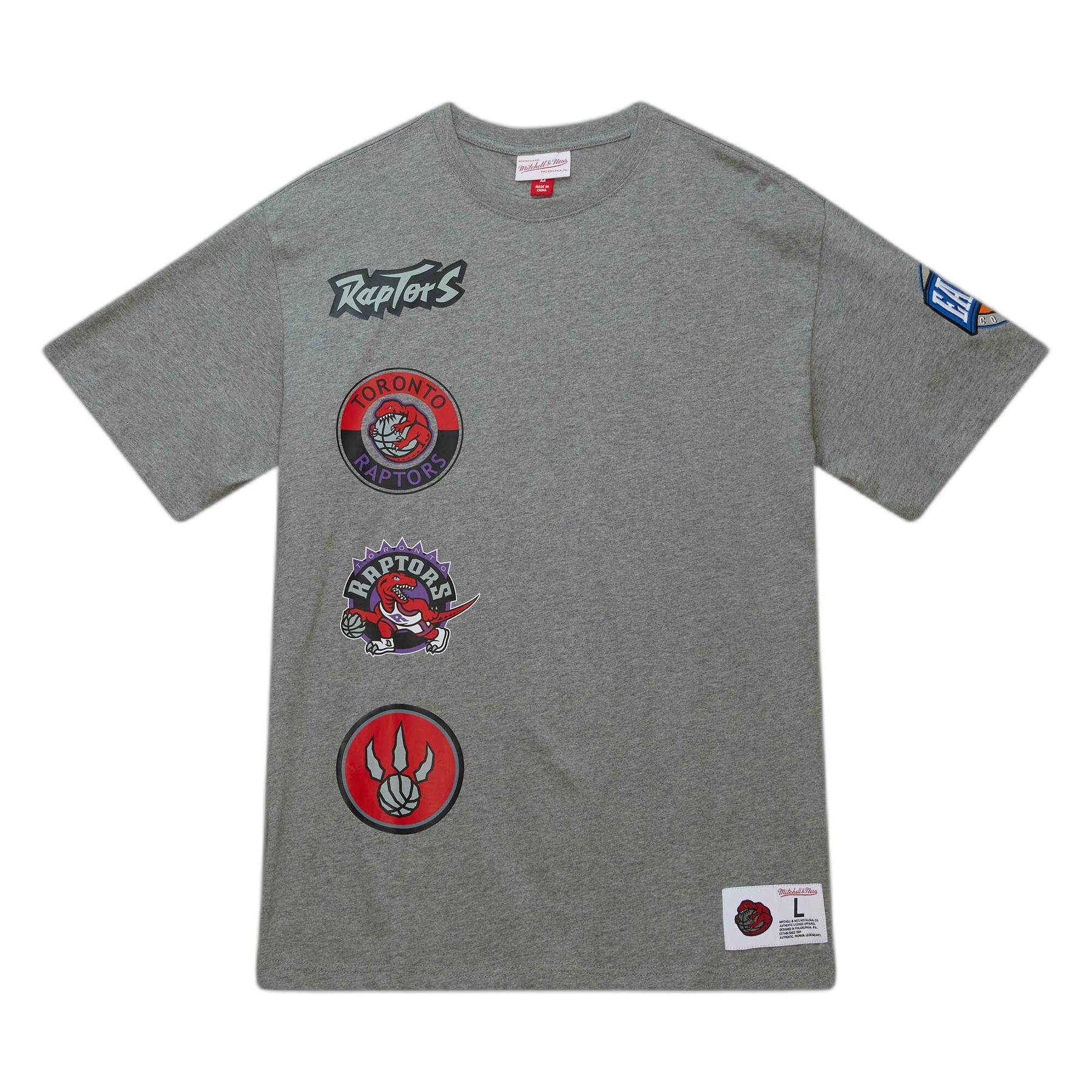 0196294765135 - T-Shirt City Collection Toronto Raptors