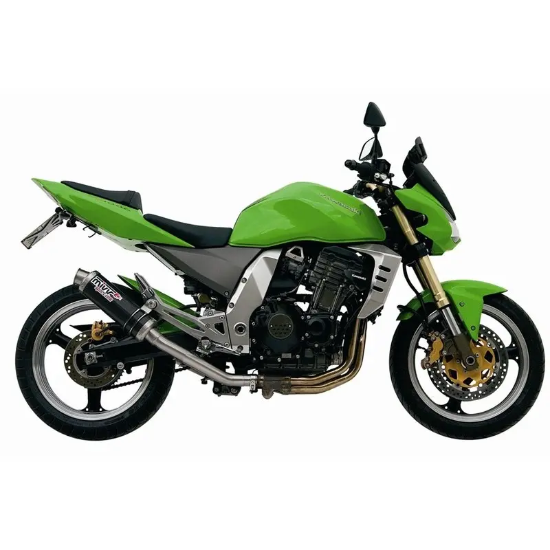 Doppelauspuff für Motorrad Mivv GP Kawasaki Z1000