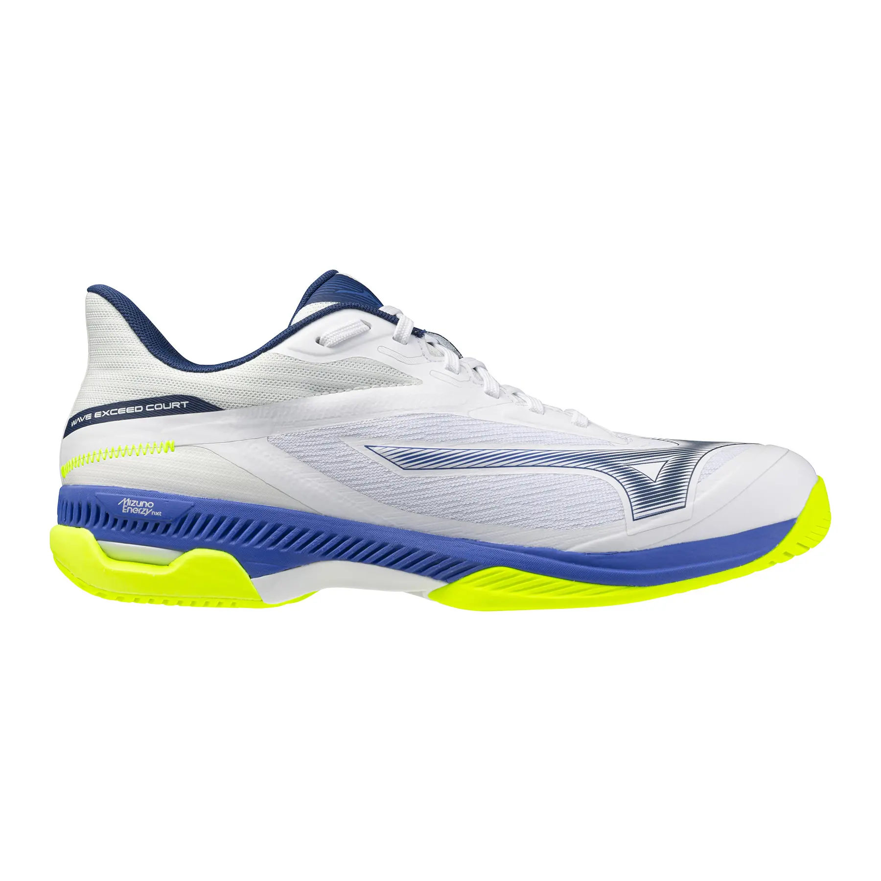 Tennisschuhe Mizuno Wave Exceed Court