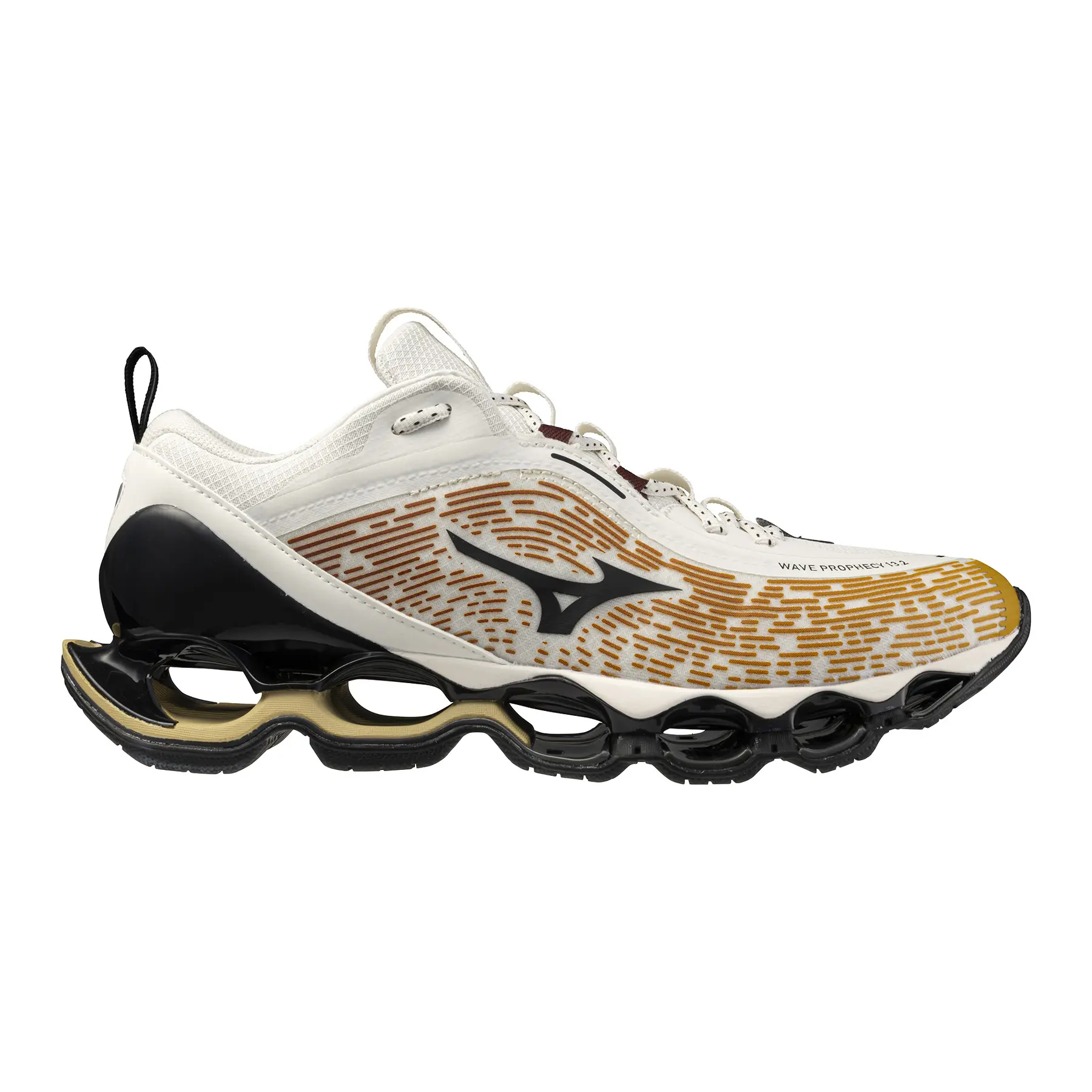 Baskets  Wave Prophecy 13.2