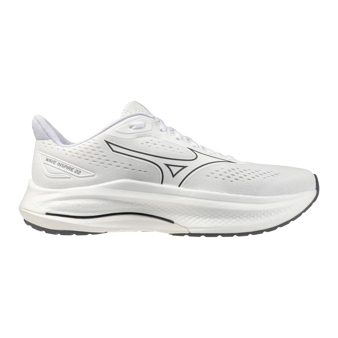 Chaussures de running Mizuno Wave Inspire 22