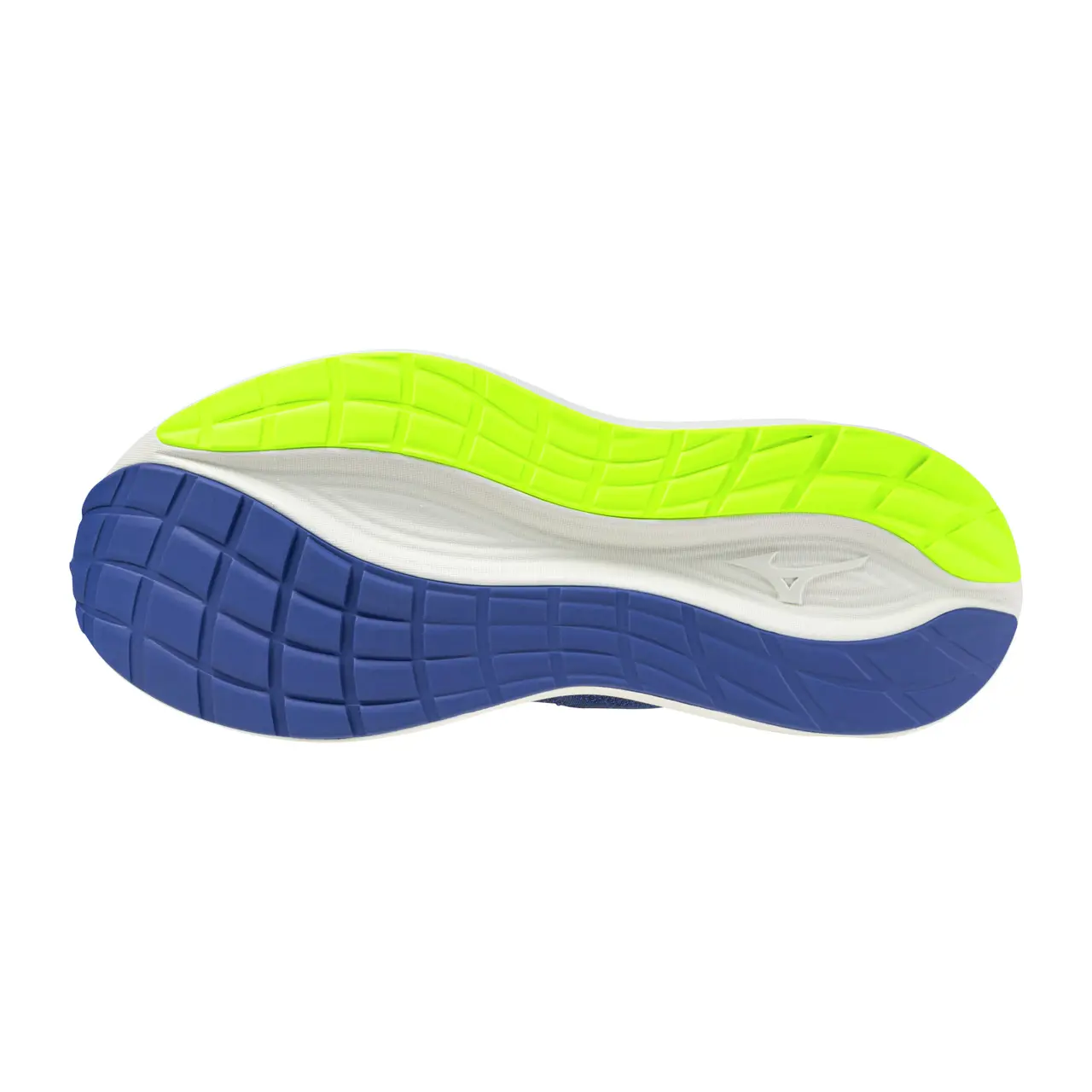 Women's running shoes Mizuno Neo Cosmo | Direct-Volley