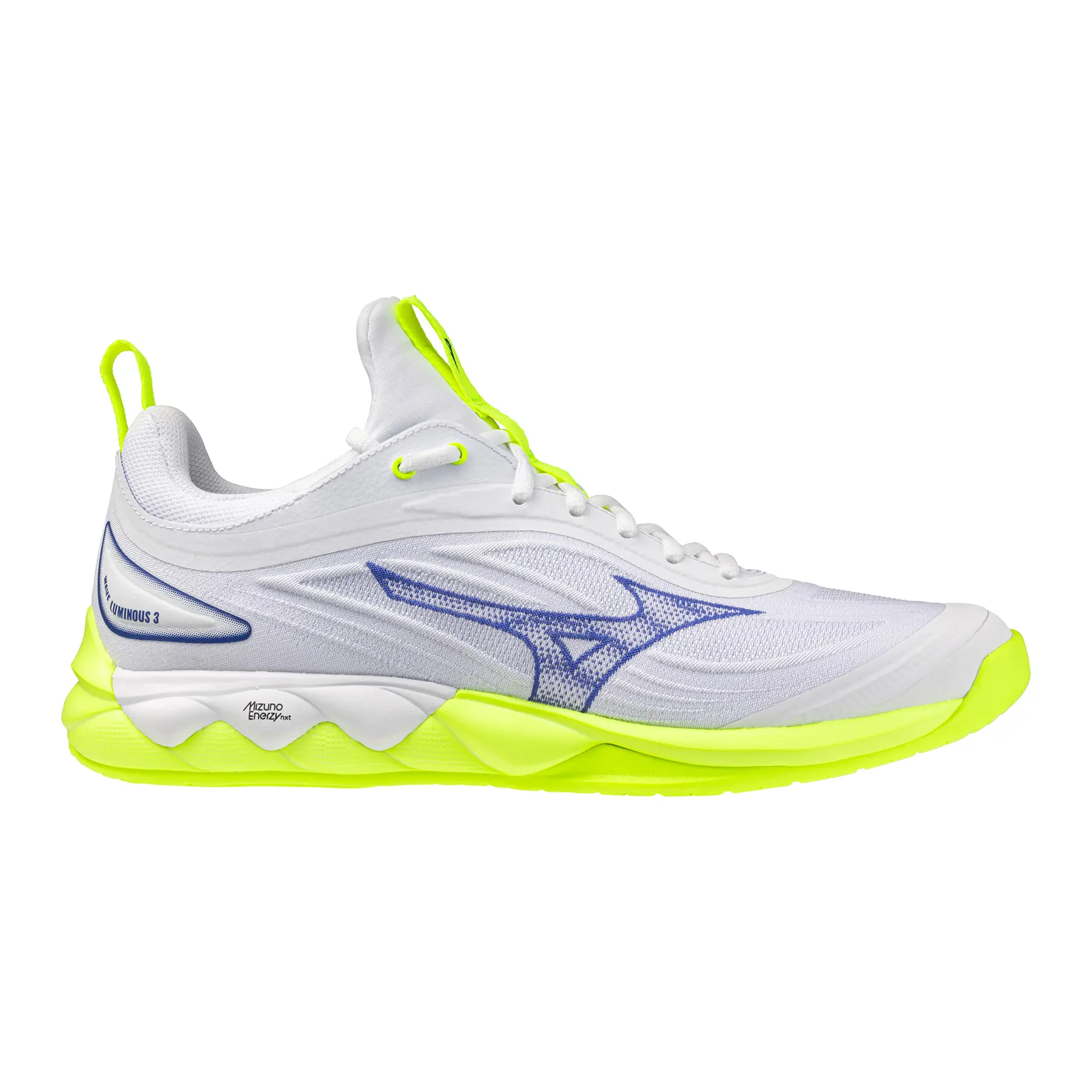Hallenschuhe Mizuno Wave Luminous