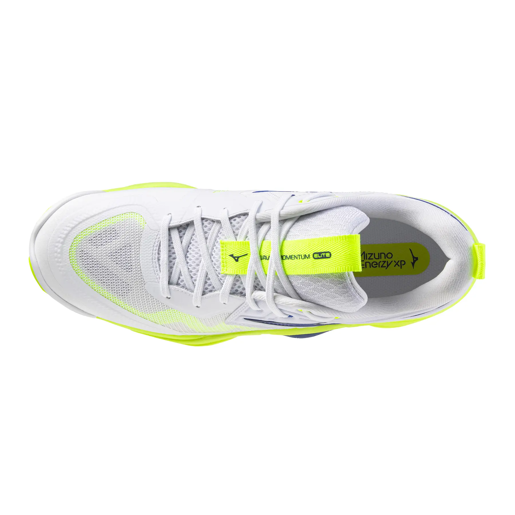 Mizuno Wave Momentum Elite Indoor Shoes | Direct-Volley