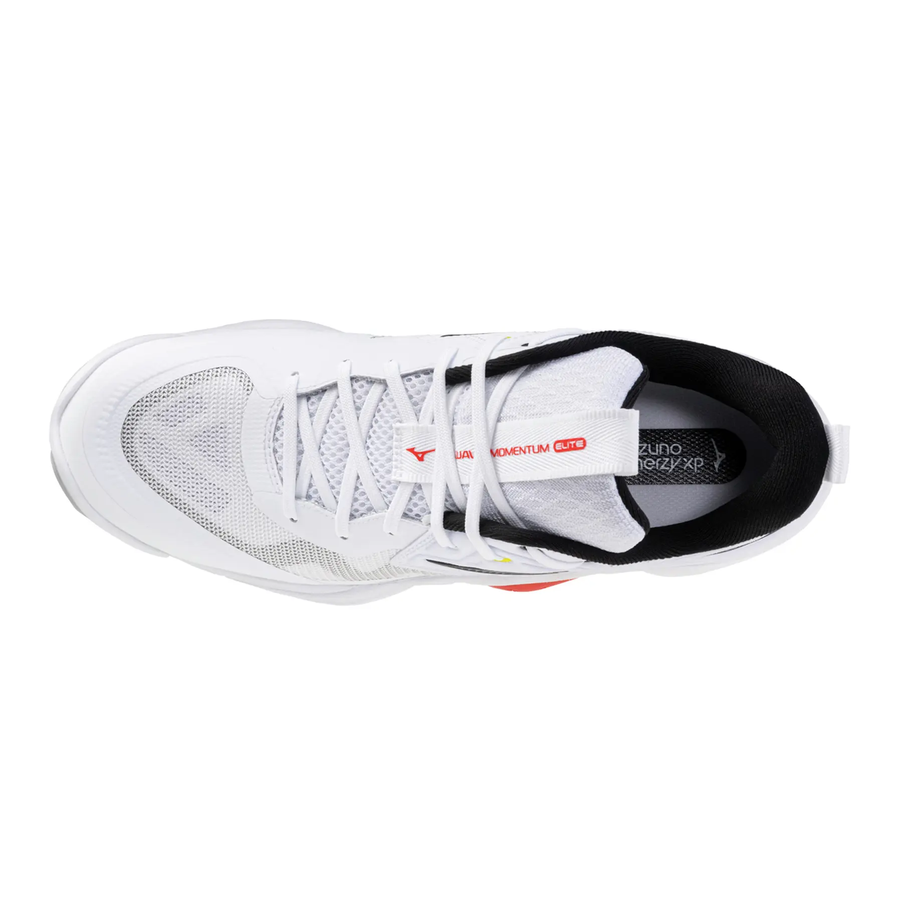 Mizuno Wave Momentum Elite Indoor Shoes | Direct-Volley