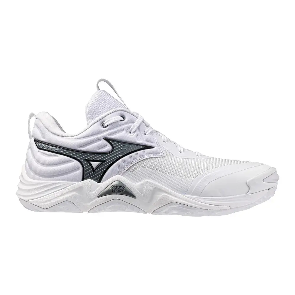 Hallenschuhe Mizuno Wave Momentum Elite