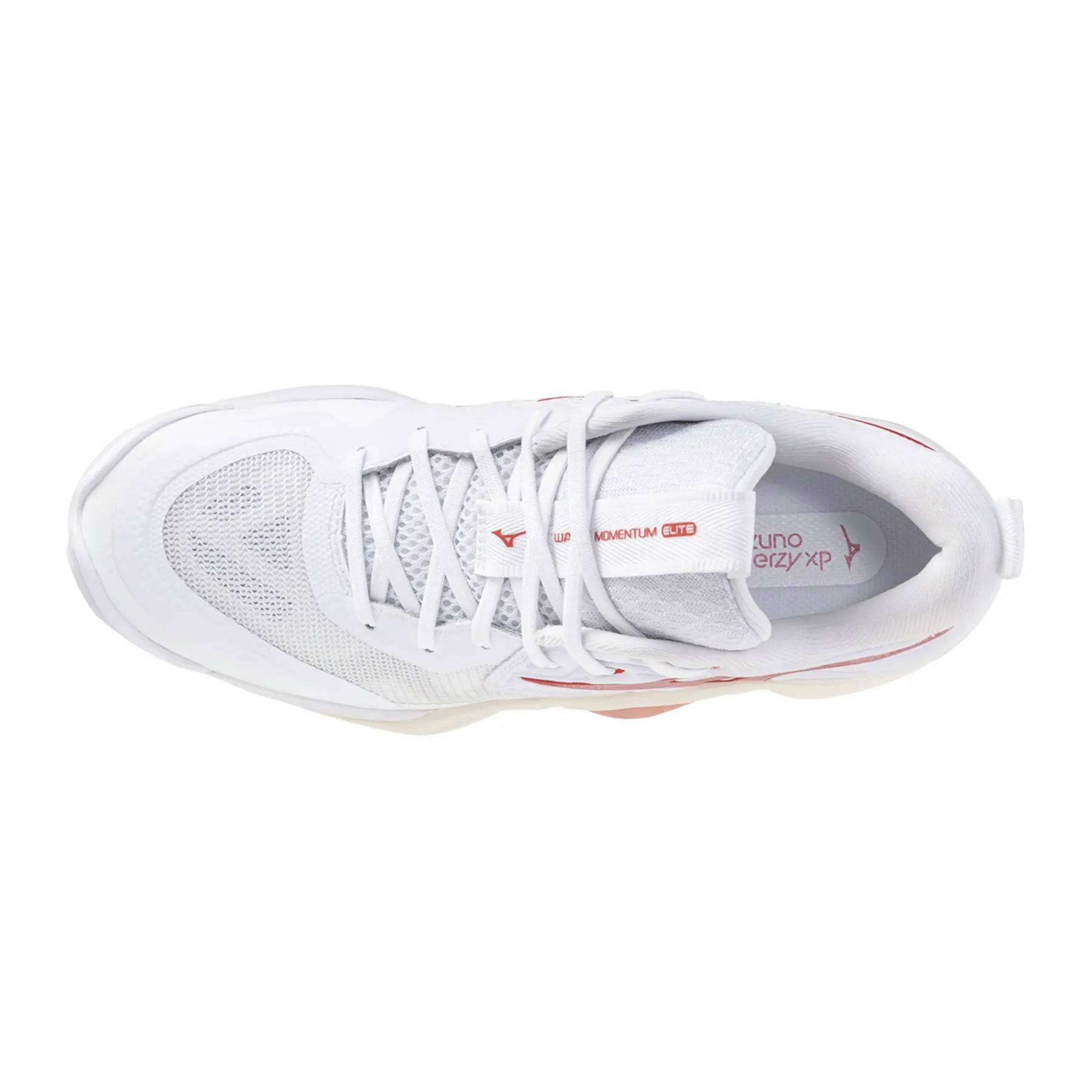 Mizuno Wave Momentum Elite Women's Indoor Shoes | Handball-Store