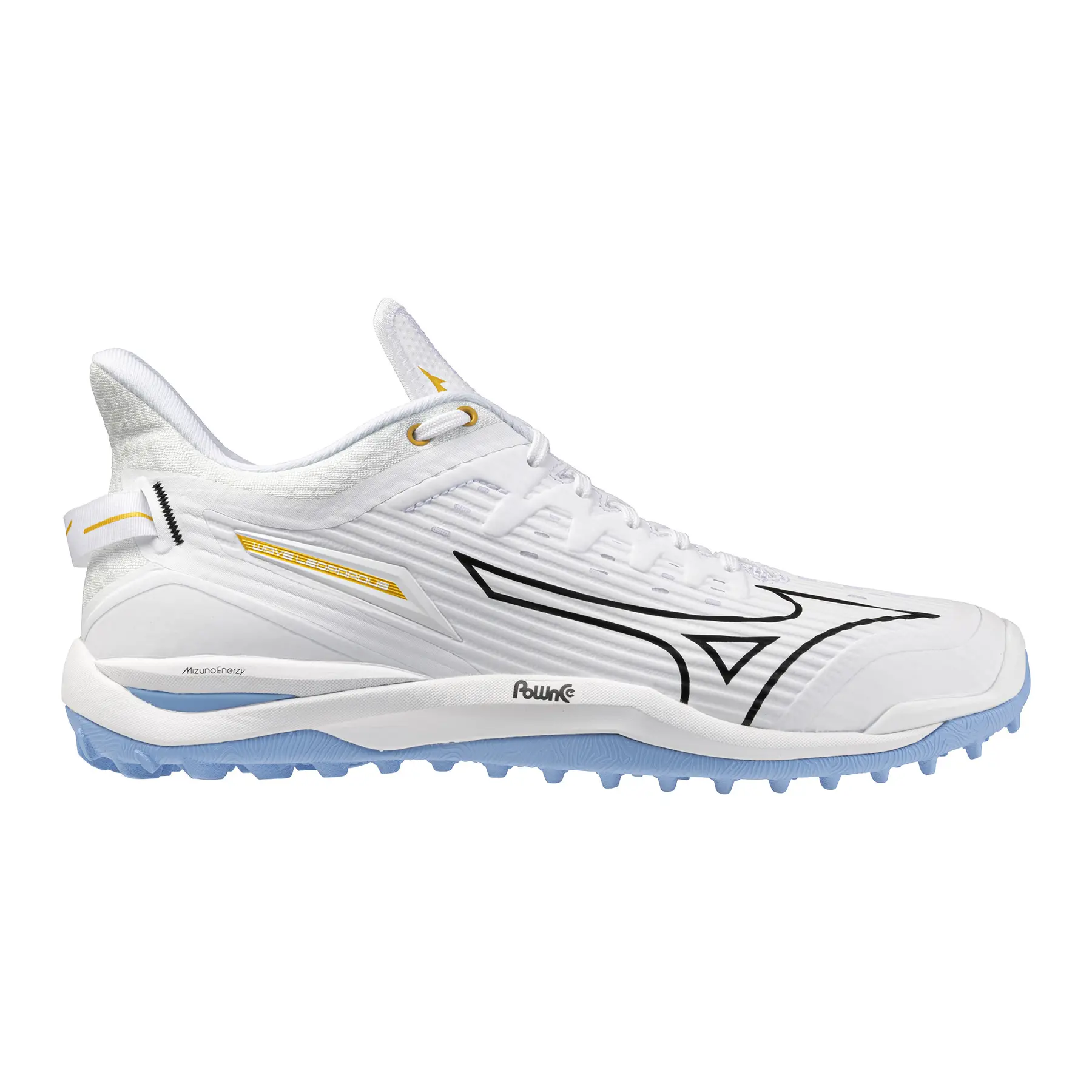 Hallenschuhe Mizuno Wave Leopardus