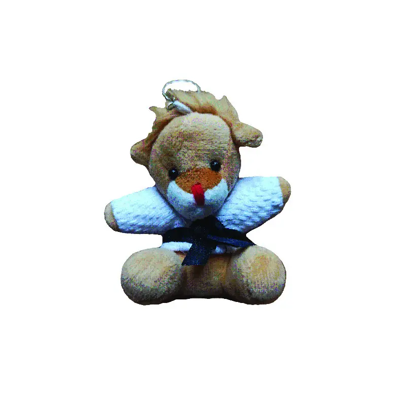 Judo-Tier Schlüsselanhänger Mizuno Keyring (x10)