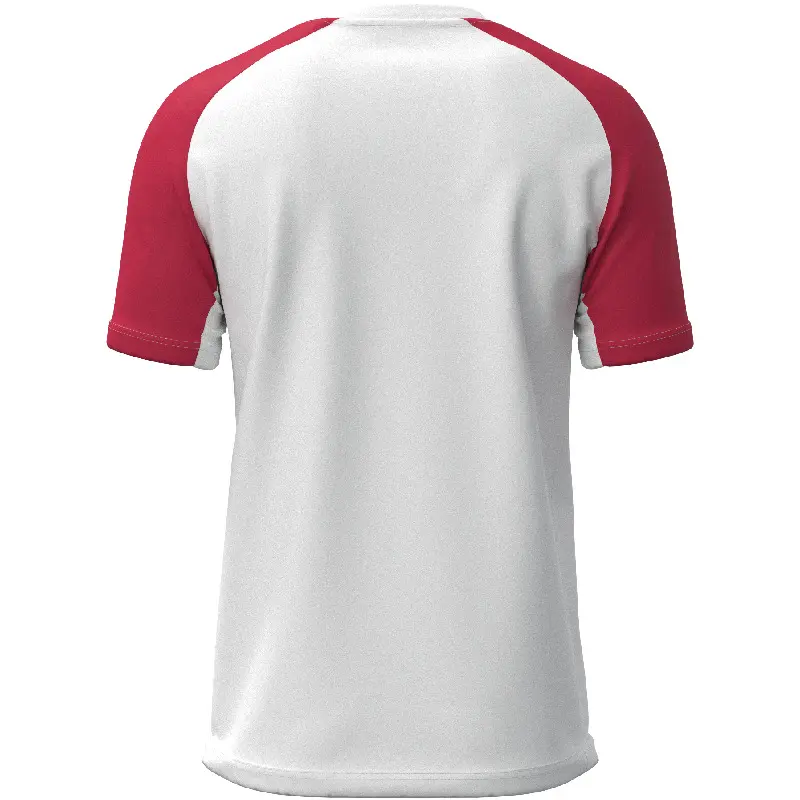 Jersey Mizuno Team Meisaigara | Direct-Volley
