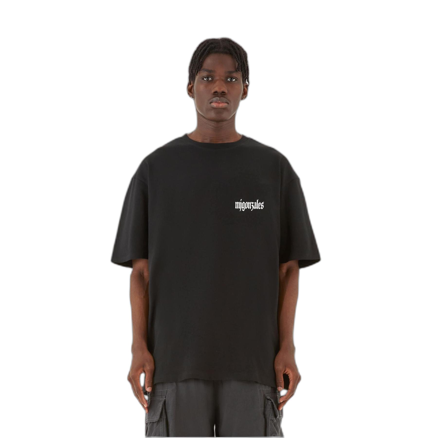 4069389114964 - Oversized T-Shirt Frosted Wings