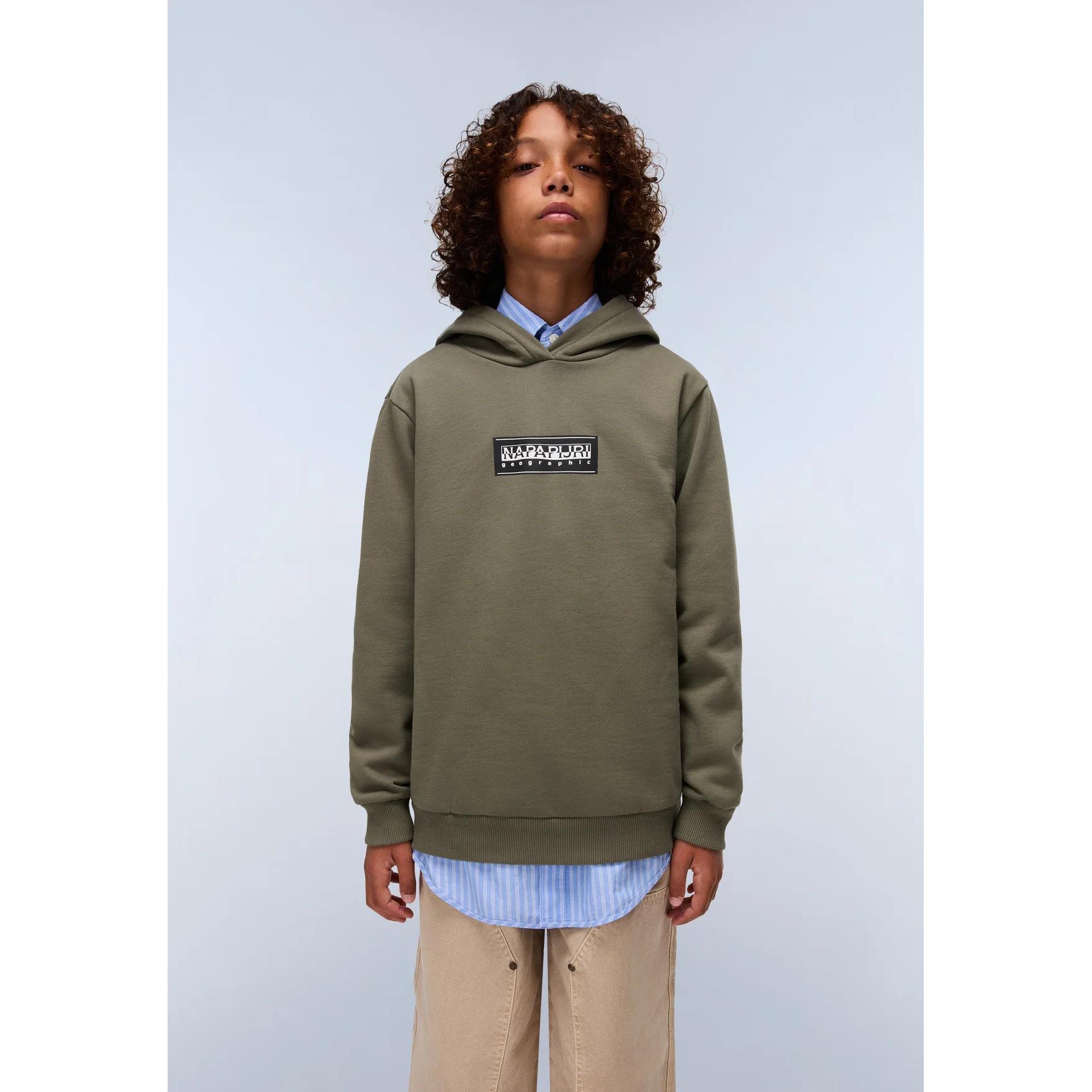 product/n/a/napapijri-np0a4hy4-g0a-tea-leaf-4.jpg
