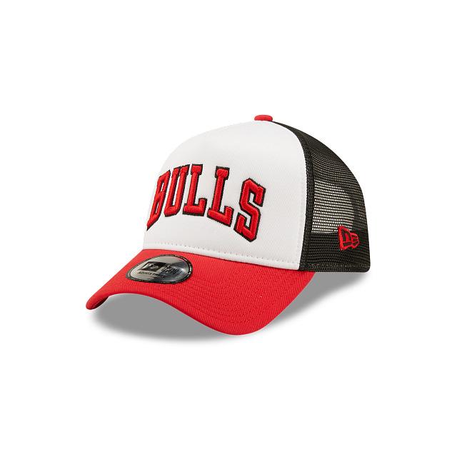 0196499581905 - Trucker Cap Chicago Bulls Team Colour Block