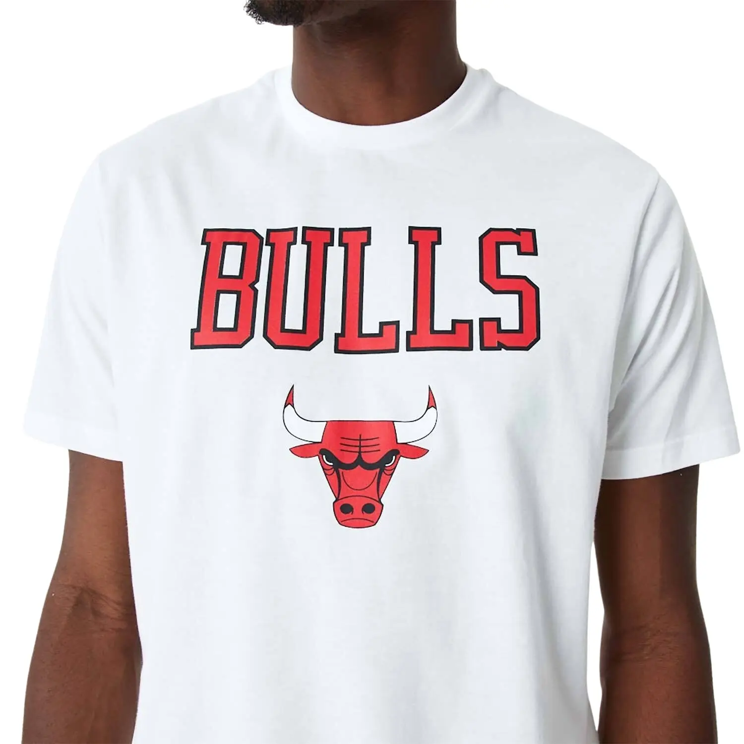 0196996508207 - T-Shirt Chicago Bulls Team Logo
