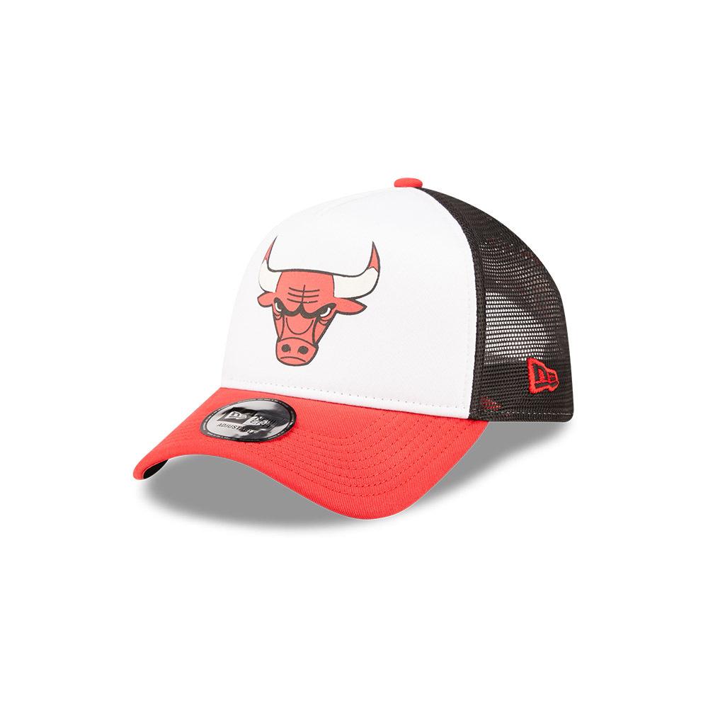 0196996669311 - Trucker Cap New Era NBA Chicago Bulls
