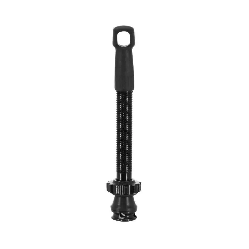 Image of Tubeless Presta 4-Loch-Reifenventil für präventive Verbreitung Newton Colori