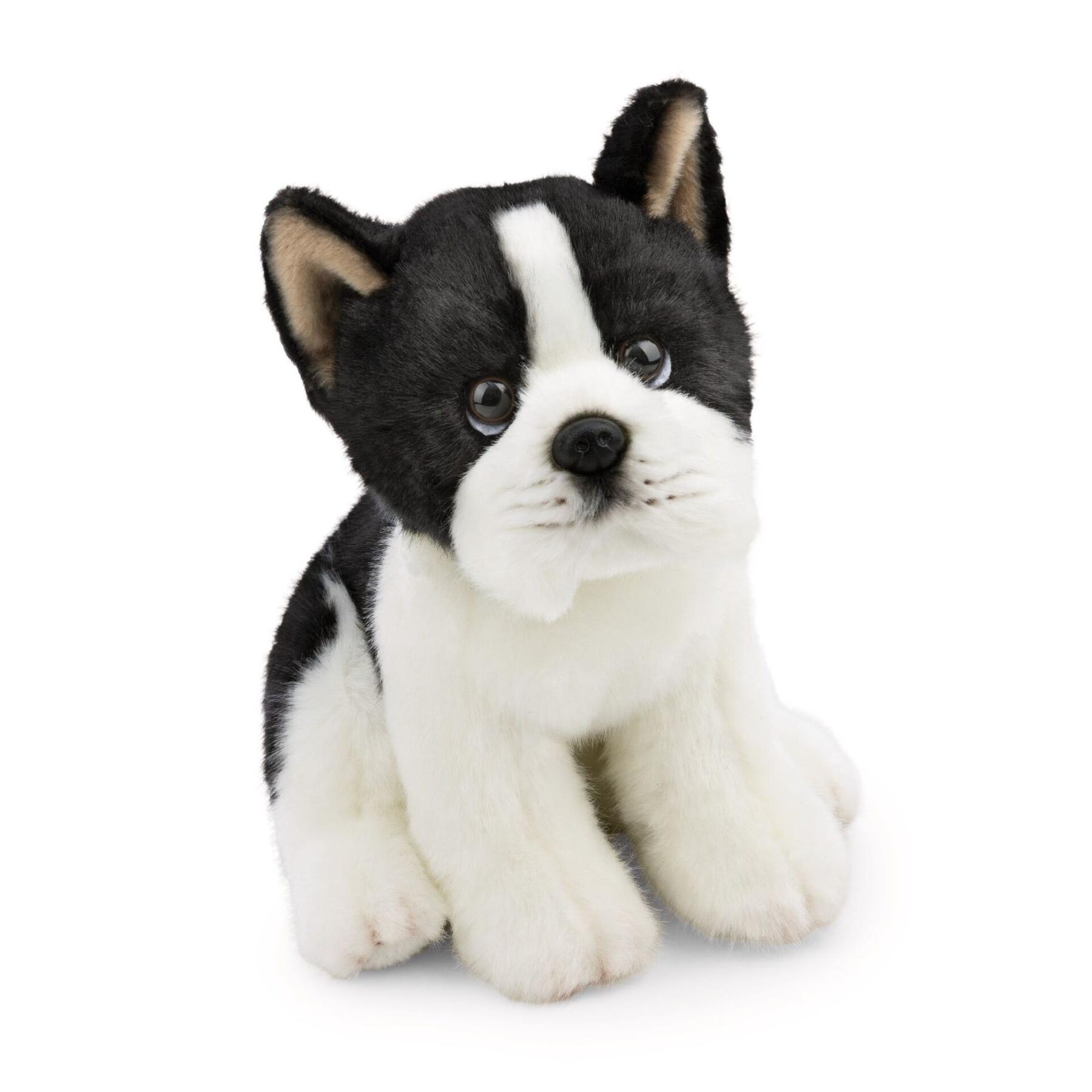 4012390626025 - Plüschtier Hund Boston Terrier