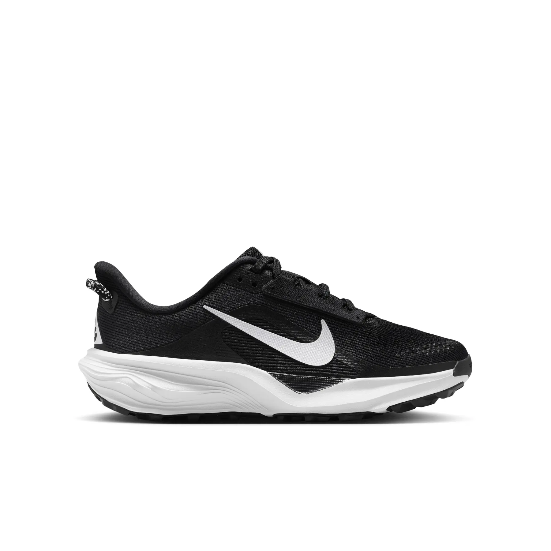 Trailschoenen Nike ACG ACG Pegasus