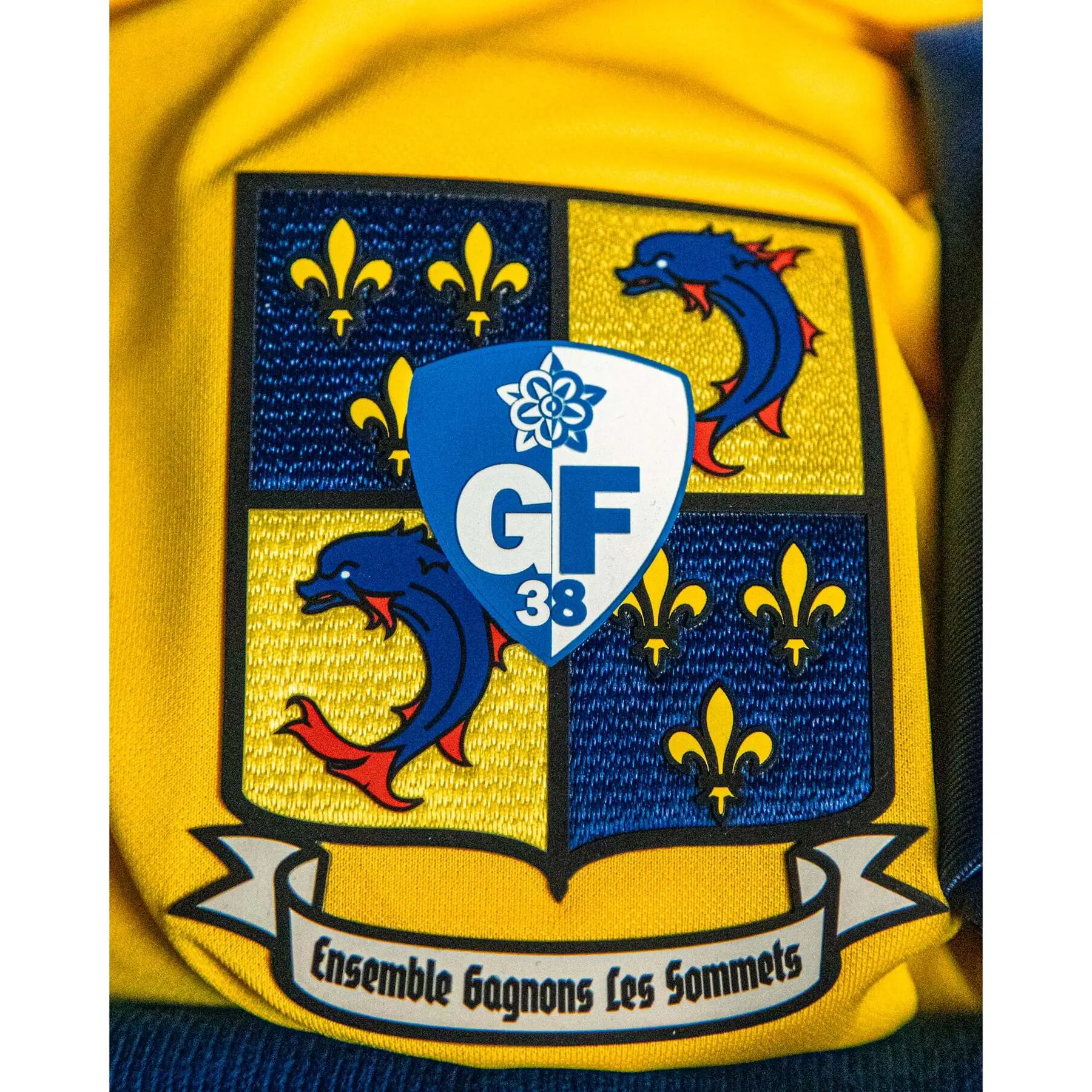 96 SOFIANE FEGHOULI GRENOBLE FOOT GF 38 PANINI FOOTBALL FOOT 2009-2010