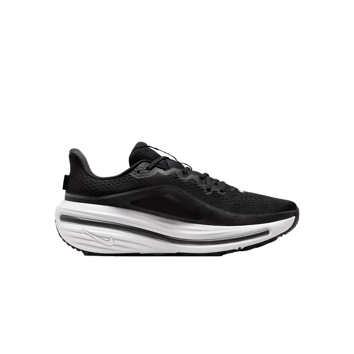 Nike Men's Noir Running Shoes Winflo 12