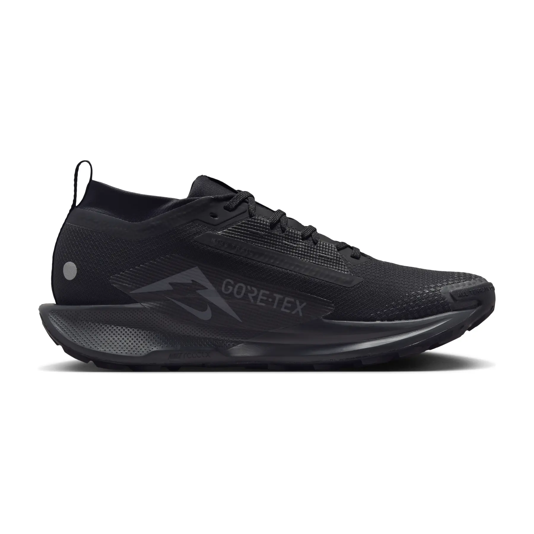 Trail shoes Nike Pegasus 5 Gore-Tex | Foot-Store