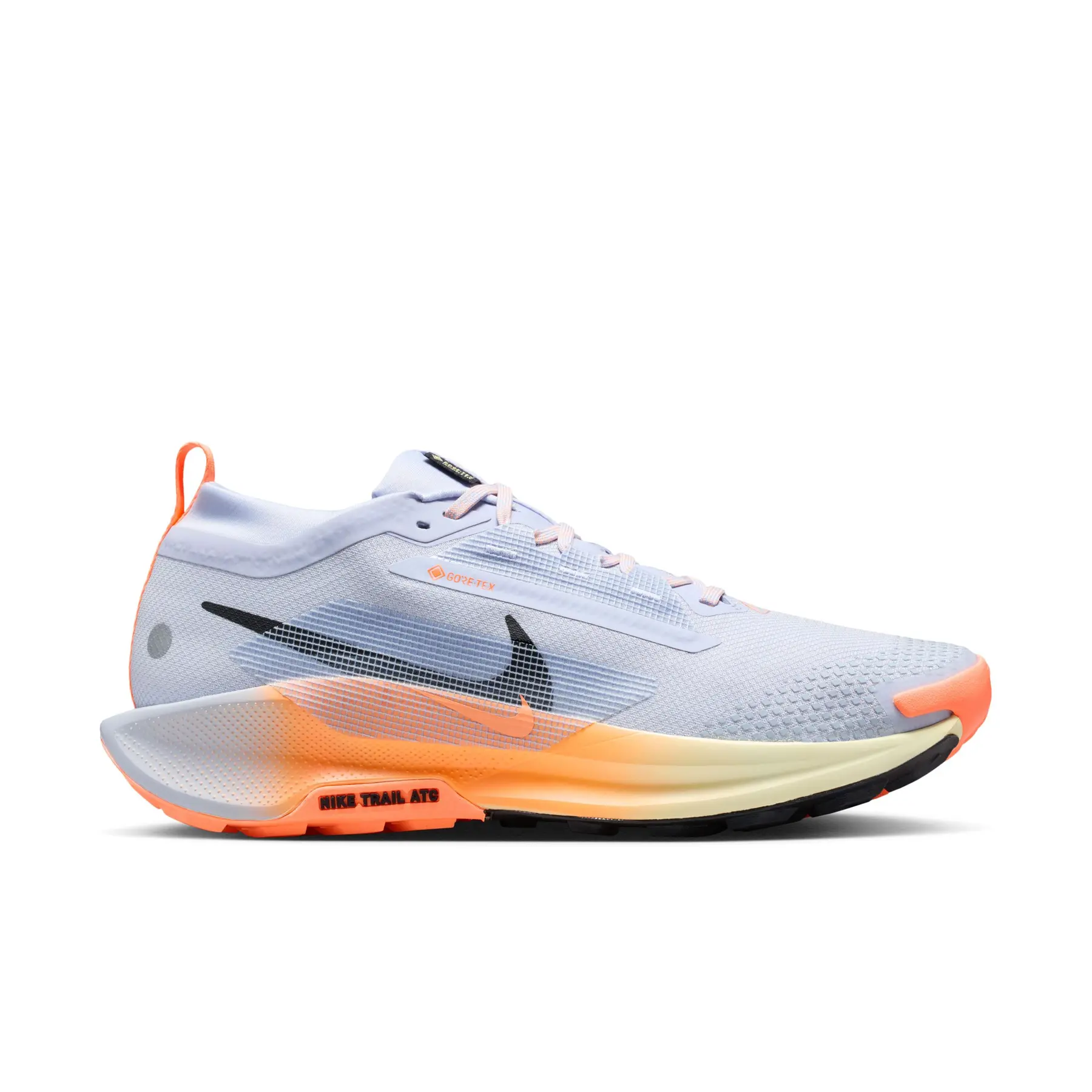 Nike Chaussures de trail Nike Pegasus Trail 5 GORE-TEX