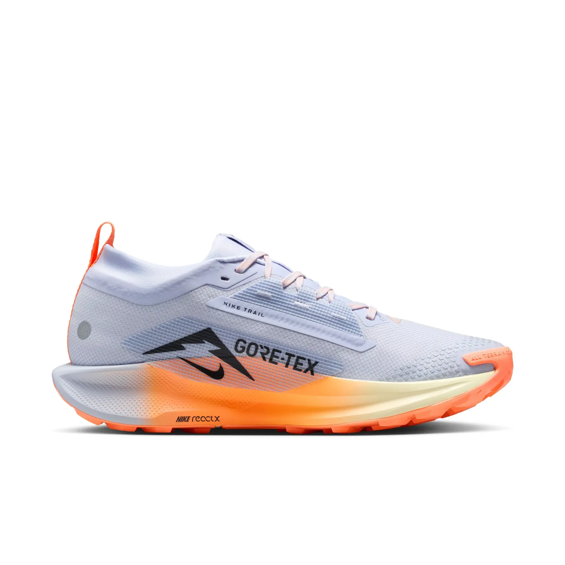 Trail running shoes Nike Pegasus Trail 5 GORE-TEX | Foot-Store