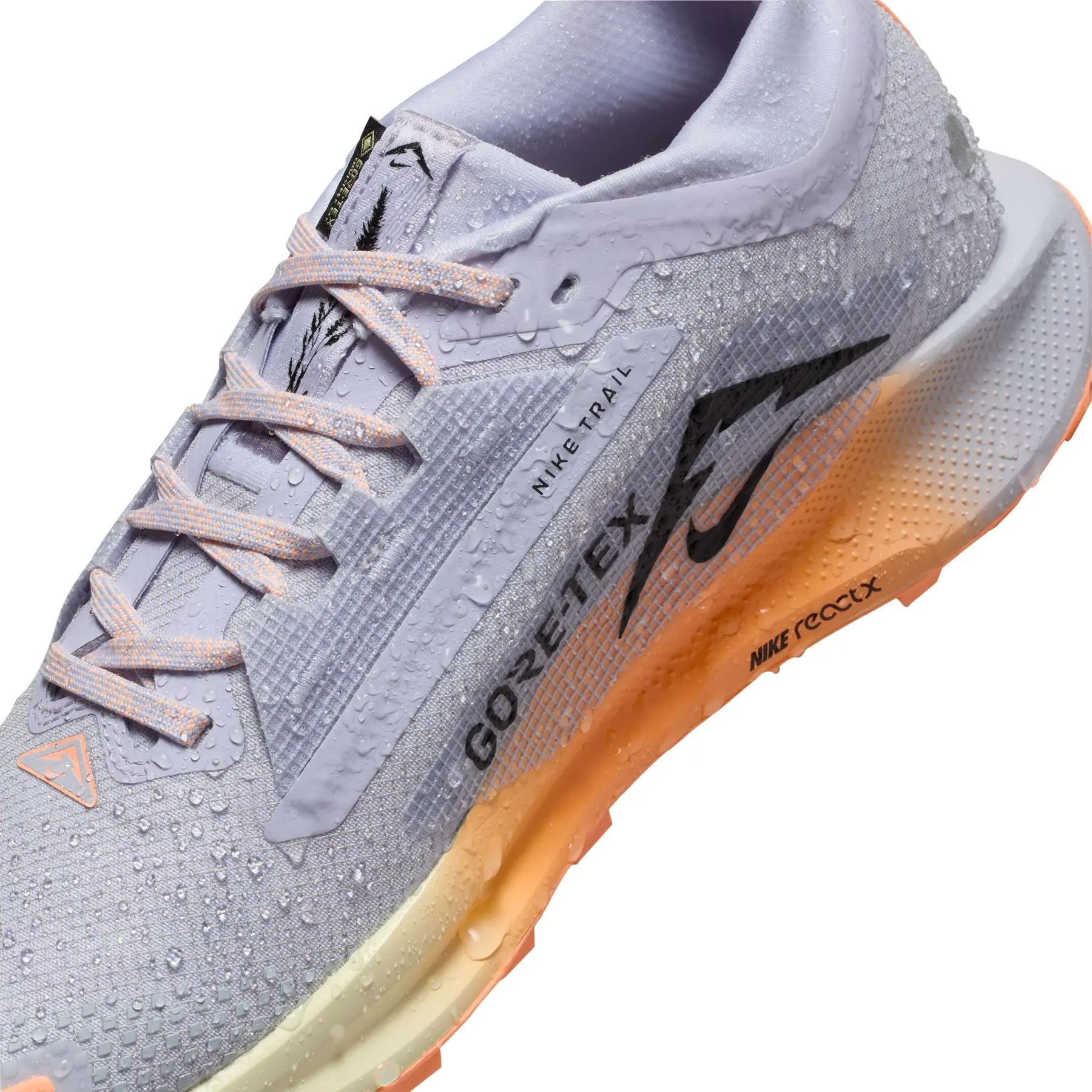 Women's trail running shoes Nike Pegasus Trail 5 GORE-TEX | Foot-Store