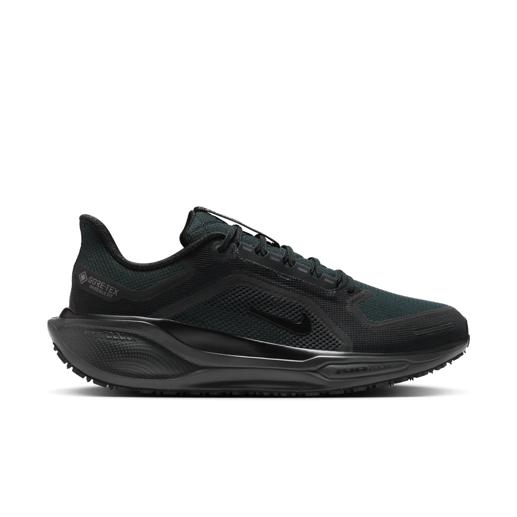 Nike Chaussures de running Nike Pegasus 41 Gore-Tex