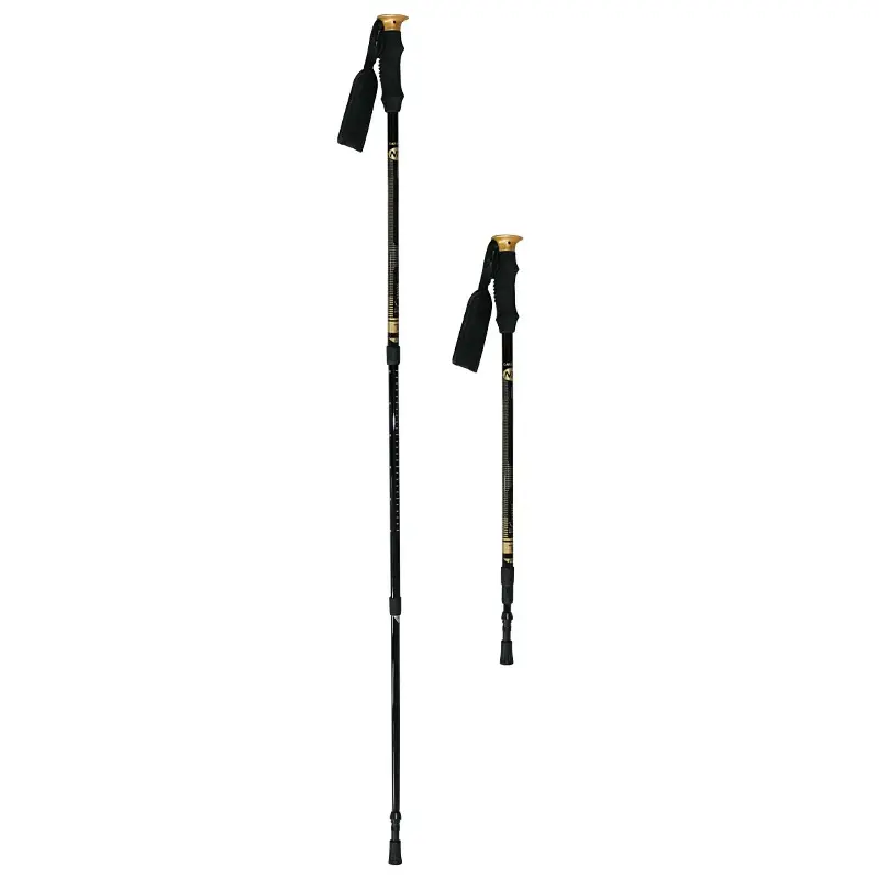 Trekking- oder Nordic-Walking-Stöcke NILS Extreme Extreme NW/TK19