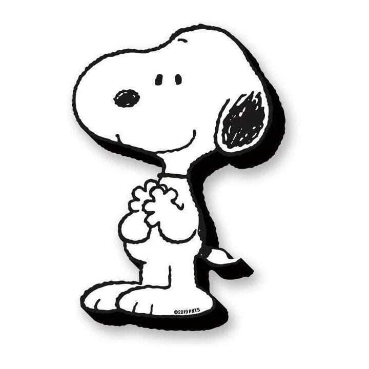 0840391143845 - Magnet Peanuts Snoopy Funky Chunky