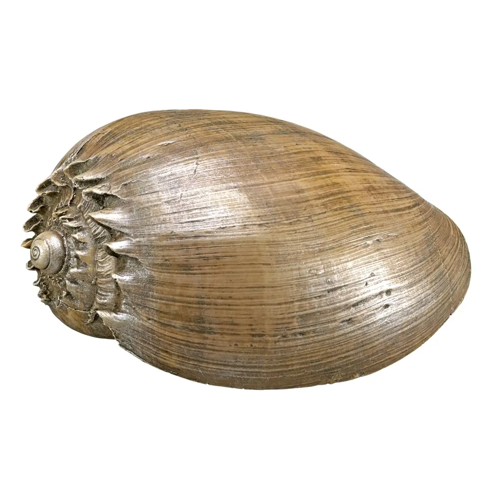 Meilleurs prix pour Ornements Aqua Nobby Pet Muschel