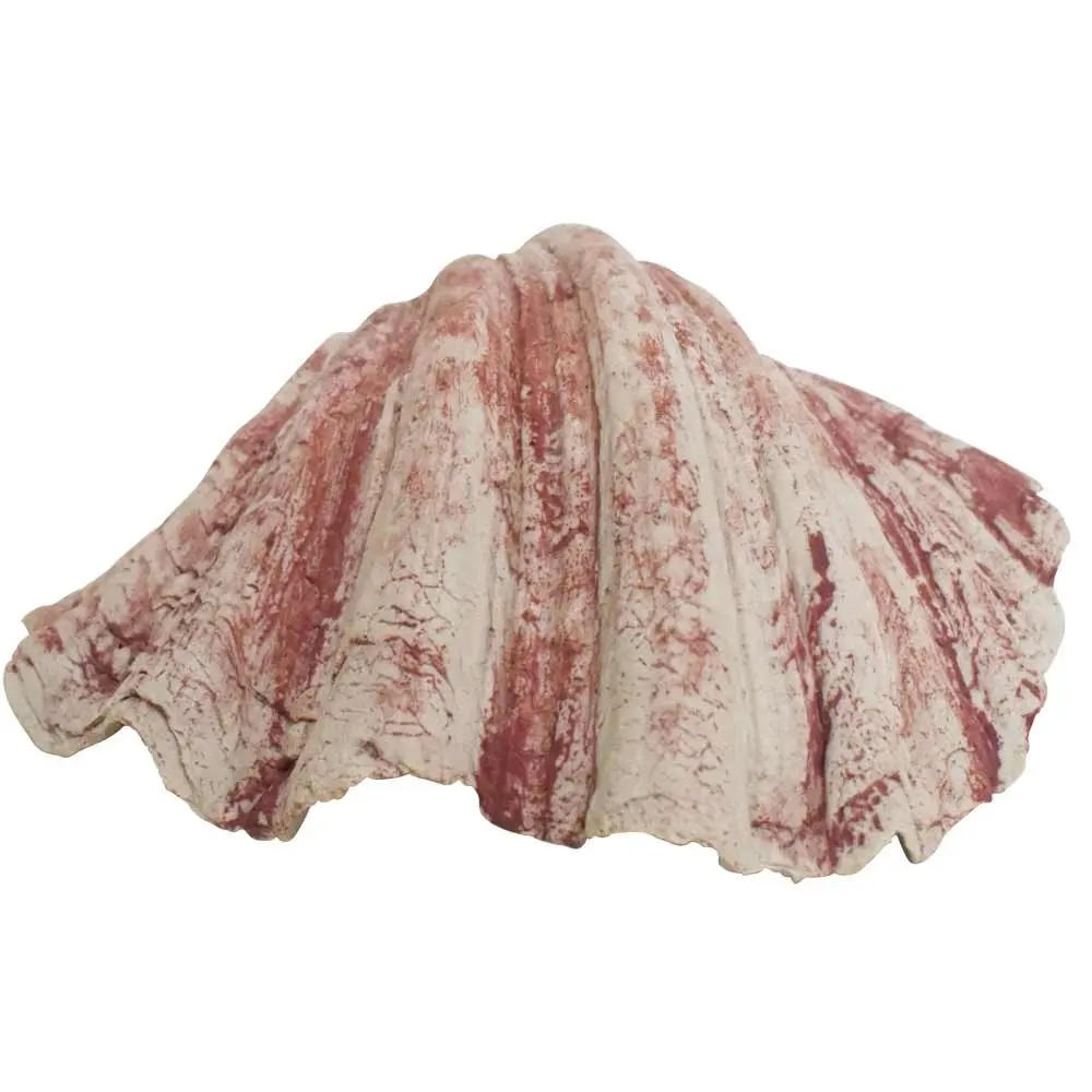 Meilleurs prix pour Ornements Aqua Nobby Pet Muschel