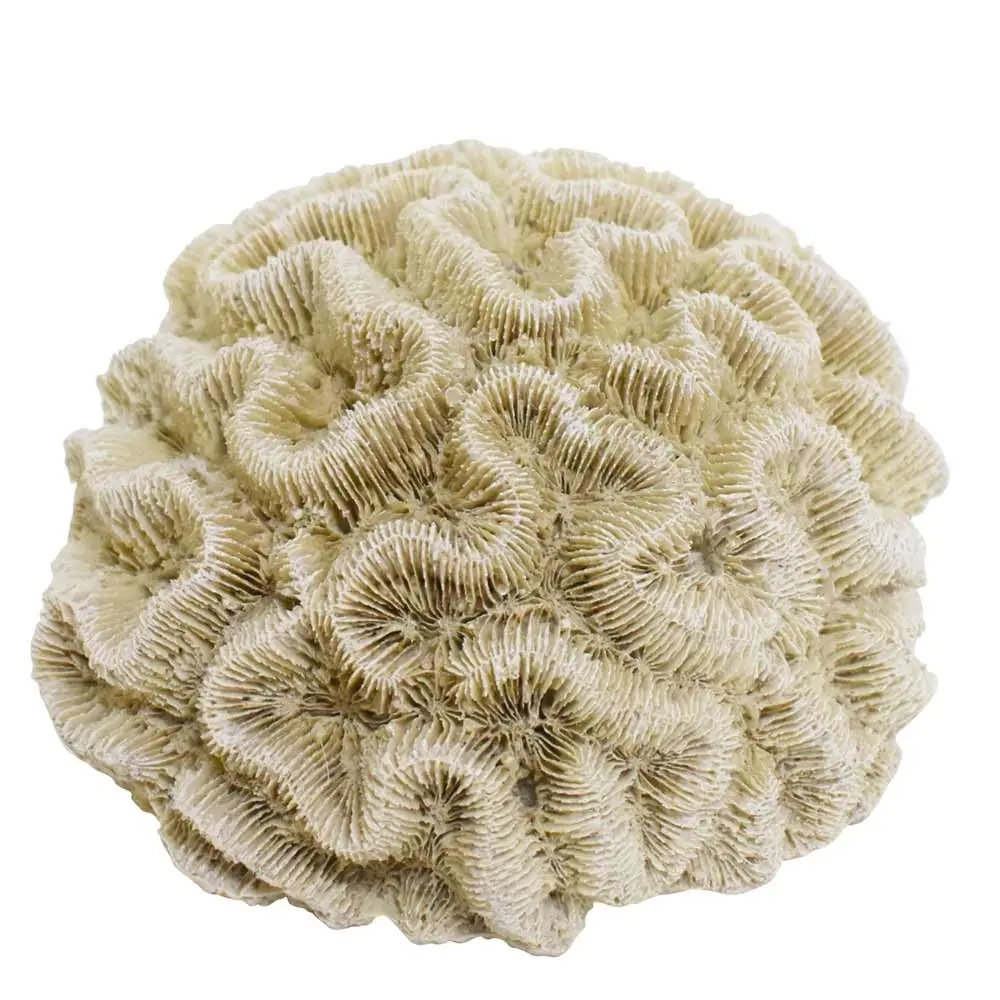 Meilleurs prix pour Ornements Aqua Nobby Pet Koralle