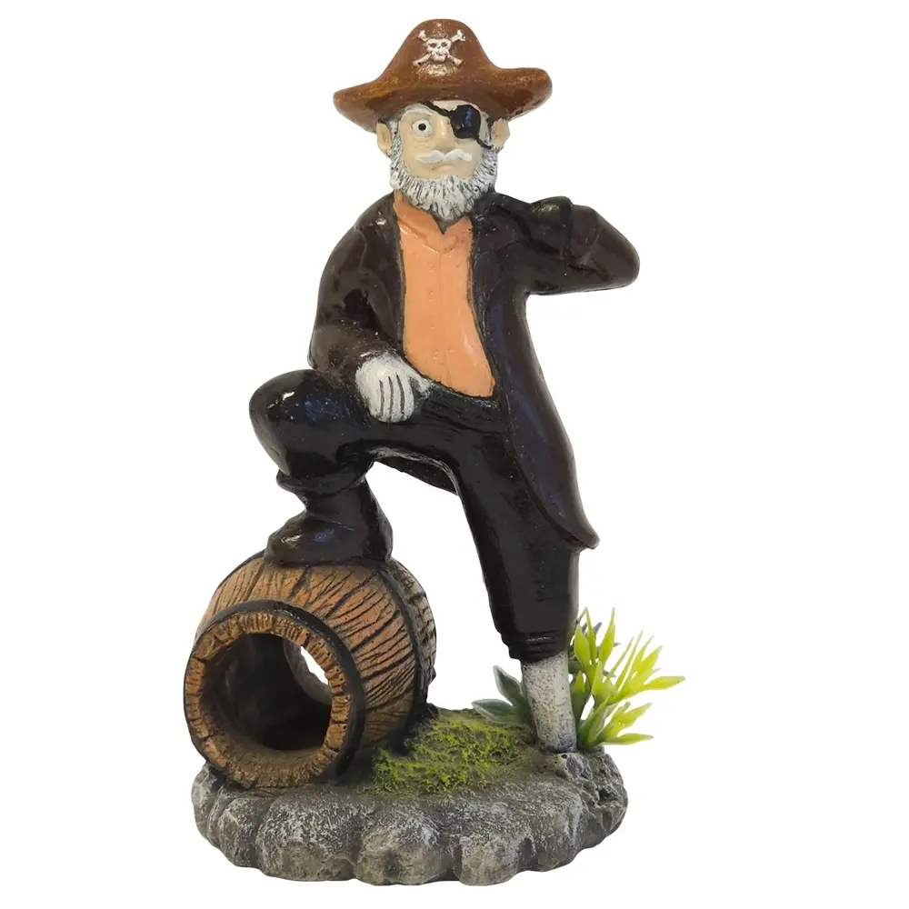 Meilleurs prix pour Décoration d'aquarium Nobby Pet Pirat