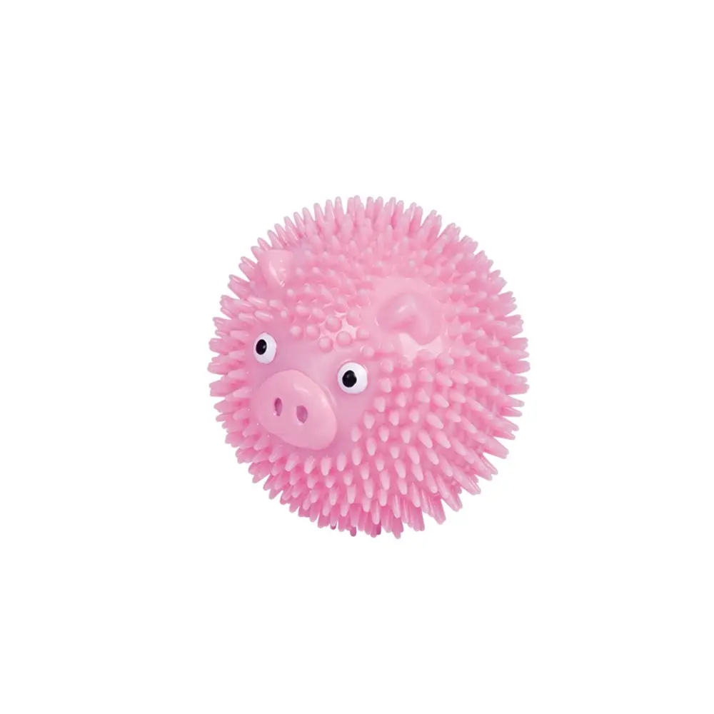 Balle pour chien à picots cochon en TPR Nobby Pet