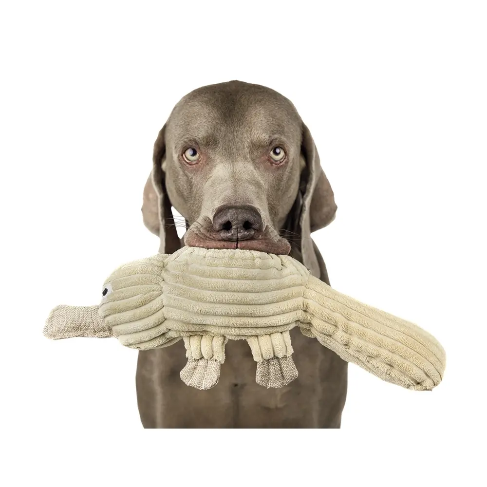 Nobby Pet Gris Plush Toy For Dog Schnabeltier