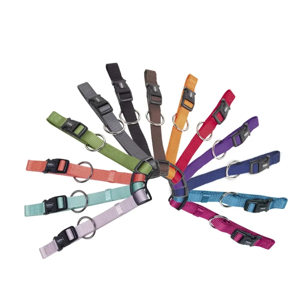Nobby Pet Orange Dog Collar Classic